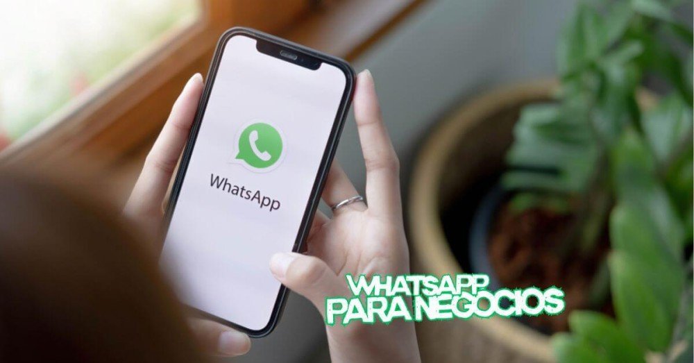 WhatsApp Para Negócios: Guia Completo 2026