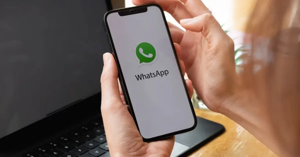 whatsapp marketing