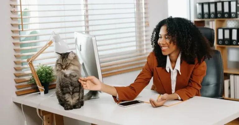 modelo hibrido é o fim do home office