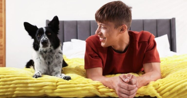 Hotel para Cachorros